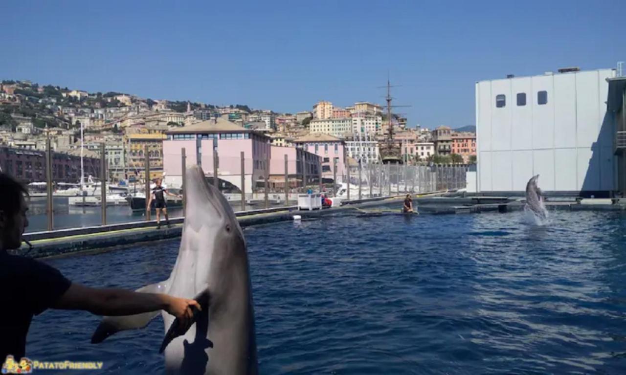 Apartament Apt Aquarium Genua Zewnętrze zdjęcie